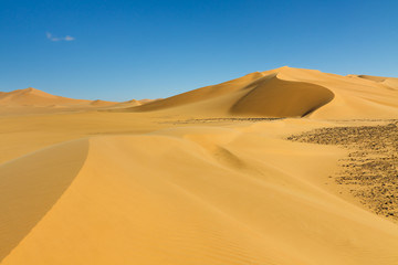Fototapeta na wymiar Beautiful Dune - Erg Tamesset - Sahara Desert, Libya