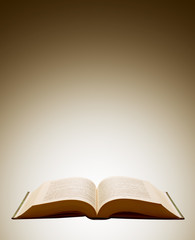 Opened book