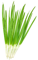Green onion