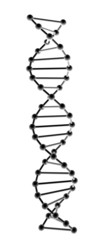 Dna model