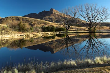 Fotobehang Landscape reflection in a dam in the Drakensberg © Adele De Witte