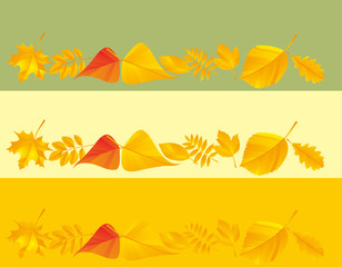 autumn leaf