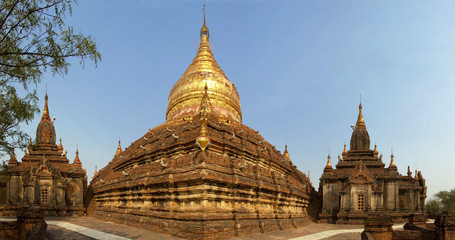 Fototapeta premium Myanmar - Templi di Bagan