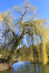 Der Fr&uuml;hling in Hamm