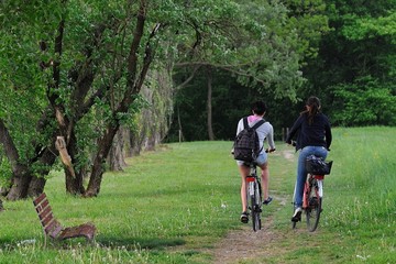Naklejka premium in bicicletta in campagna