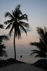 Fototapeta na wymiar palm tree and boats at sunset on tropical island