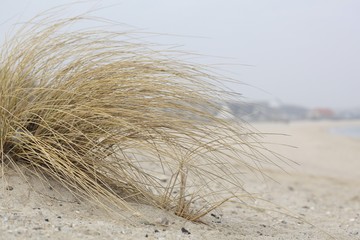 Strand / Meer / Wasser