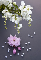 Naklejka na ściany i meble Blütentraum