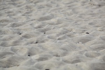 Strand / Meer / Wasser