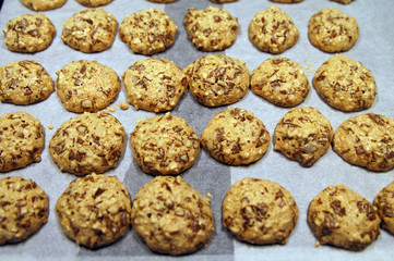 macaroons on a baking tray