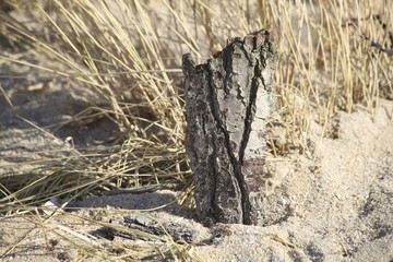 Strand / Meer / Wasser