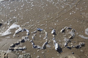 Strand / Meer / Wasser