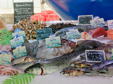 Fresh Fish At A Fish Market In Bordeaux, France