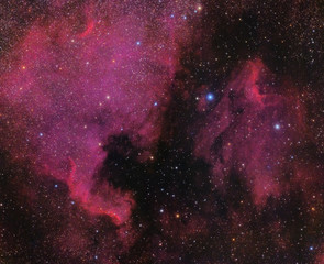 North America and Pelican Nebula