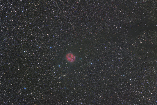 Cocoon Nebula
