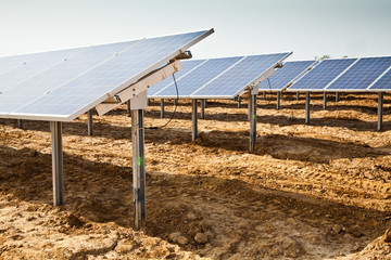 Solar panel plant
