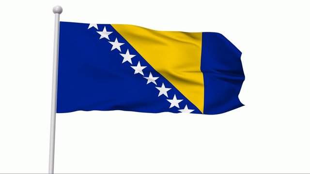 Fahne Bosnien und Herzegowina NTSC
