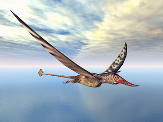 Flugsaurier Rhamphorhynchus © Michael Rosskothen