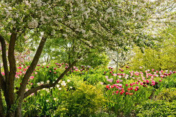 Farbenpracht im Frühling
