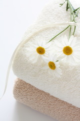 Obraz na płótnie Canvas Daisy and towel for lifestyle image