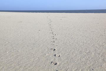 Strand / Meer / Wasser
