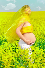 yellow dream