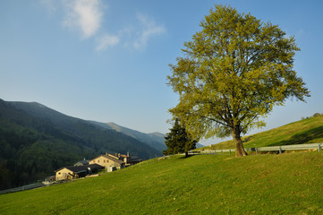 Paesaggio
