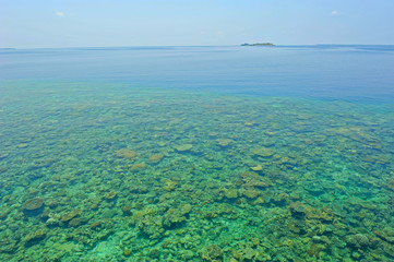 Maldives coral reef