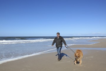 Strand / Meer / Wasser
