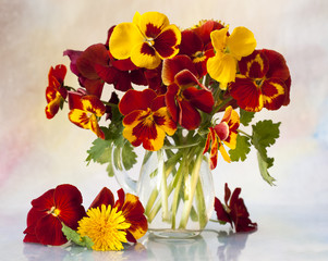 bunch of flowers pansies in a jar of glass