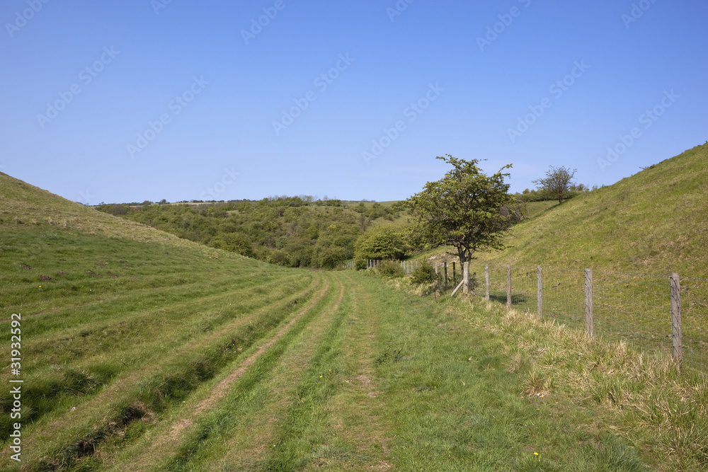 Poster hilly landscape