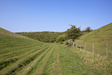 Naklejka premium hilly landscape