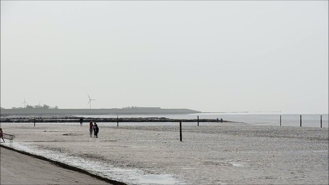 Wattenmeeer