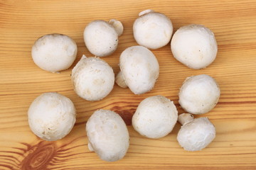 Champignons