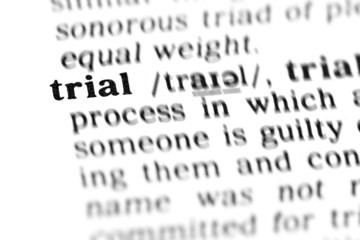 trial (the dictionary project)