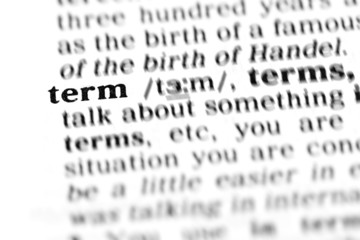 term (the dictionary project)