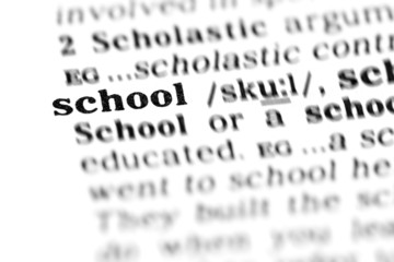 school (the dictionary project)