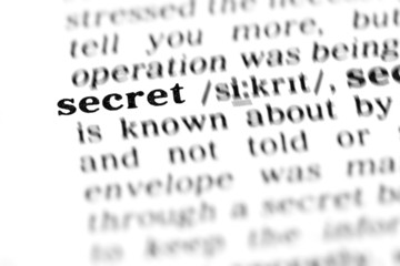 secret (the dictionary project)