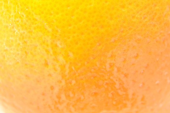 Close up of An Orange