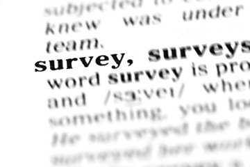 survey (the dictionary project)