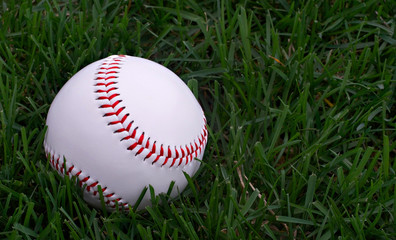 Baseball Sitting in Grass