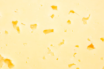 Background of fresh yellow cheese with holes