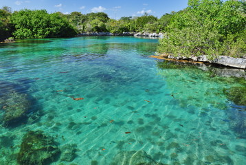 Tropical lagoon