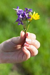 bouquet  of spring flowers in the hand