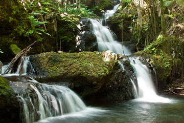 Tropical Waterfalls