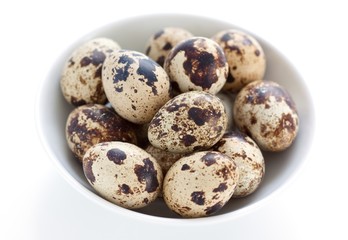 Quail eggs