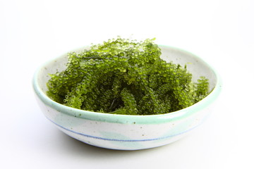 海ブドウ