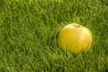 jabłko2