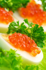Appetizers with caviar