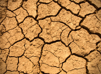 cracked earth